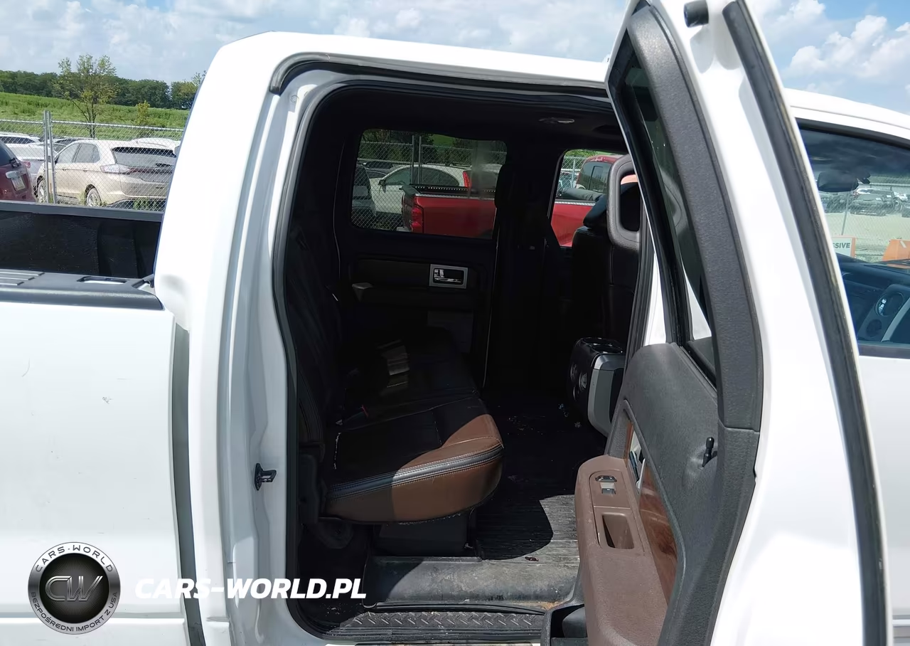 2010 Ford F-150 Platinum VIN:1FTFW1EVXAFB79715 - 8