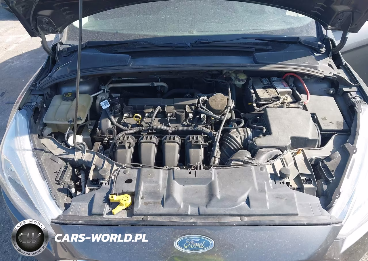 2015 Ford Focus Se VIN:1FADP3F29FL379892 - 10