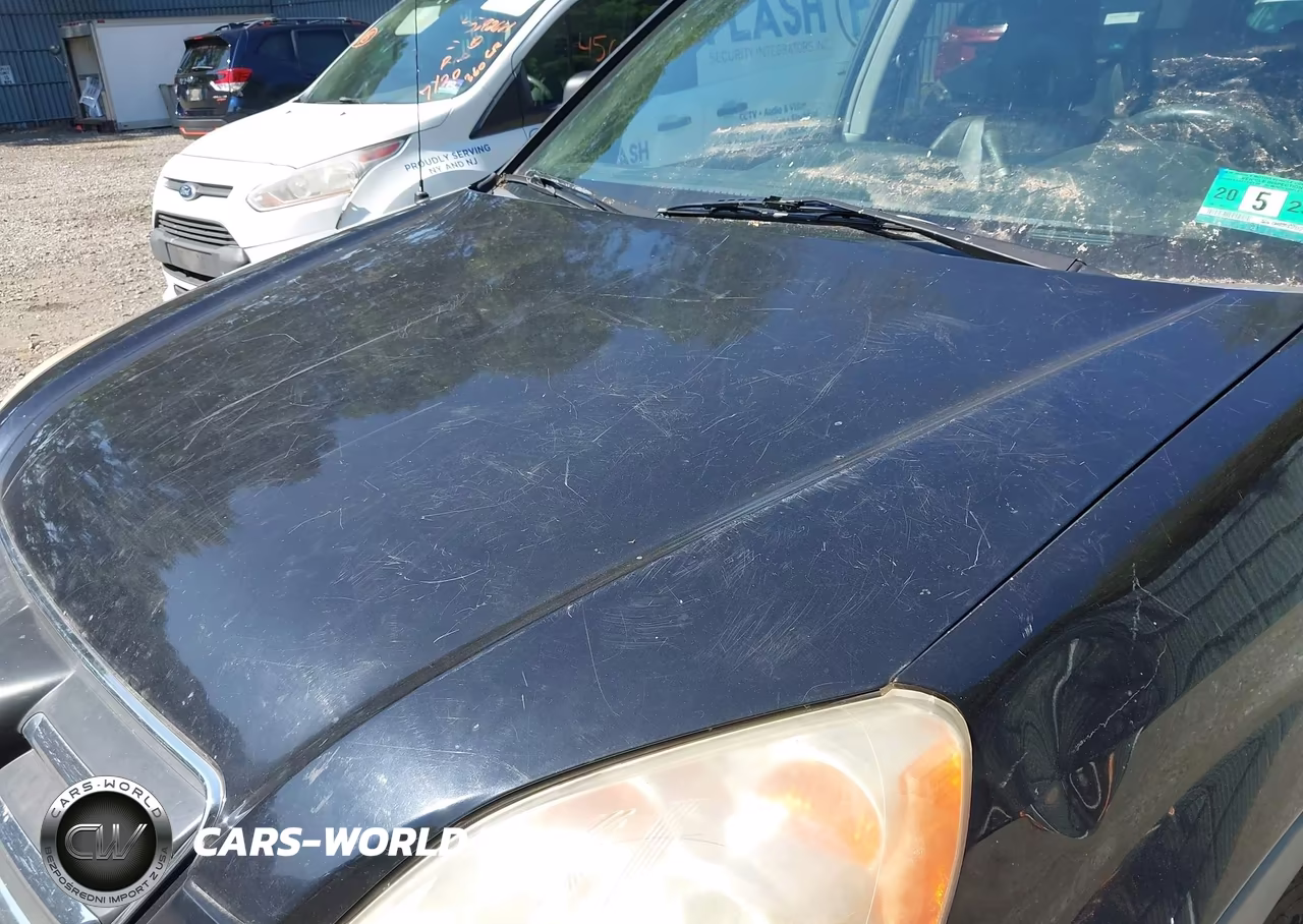 2006 Honda Cr-V Se VIN:JHLRD78966C044280 - 13