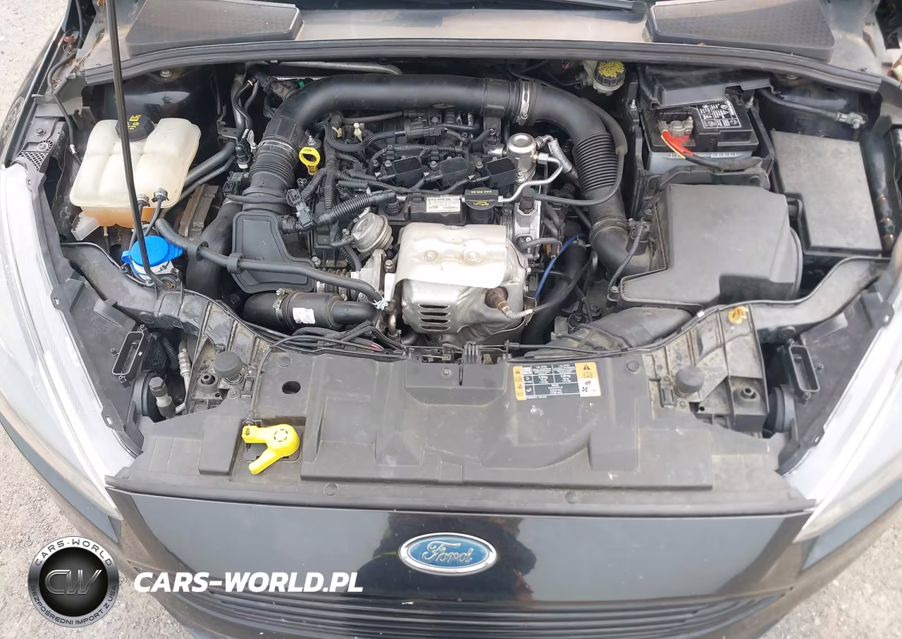 2016 Ford Focus Se VIN:1FADP3FE2GL292802 - 10