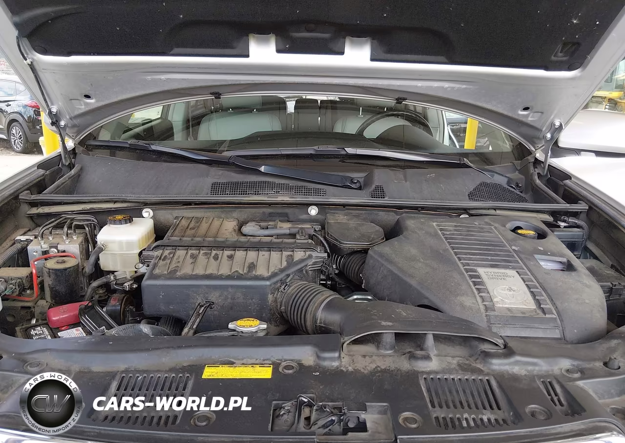 2010 Toyota Highlander Hybrid Limited V6 VIN:JTEJW3EHXA2047766 - 10