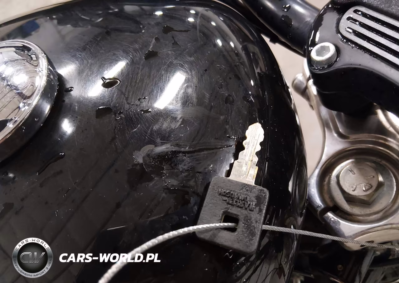 2006 Harley-Davidson Xl883 R VIN:1HD4CKM176K440090 - 11