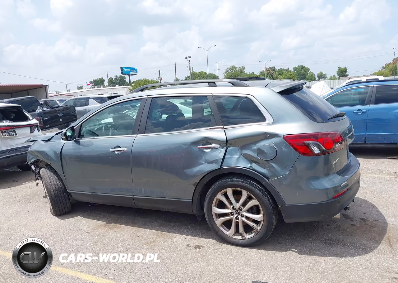 MAZDA CX-9 VIN:JM3TB3DA7D0417057 - 13