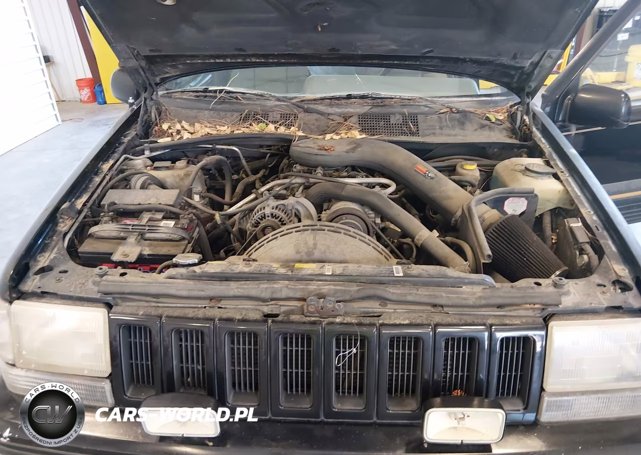 1995 Jeep Grand Cherokee Limited-Orvis VIN:1J4GZ78YXSC748712 - 10