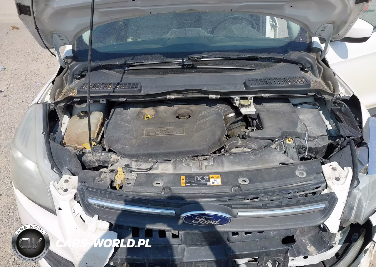 2014 Ford Escape Se VIN:1FMCU9G90EUC85045 - 10