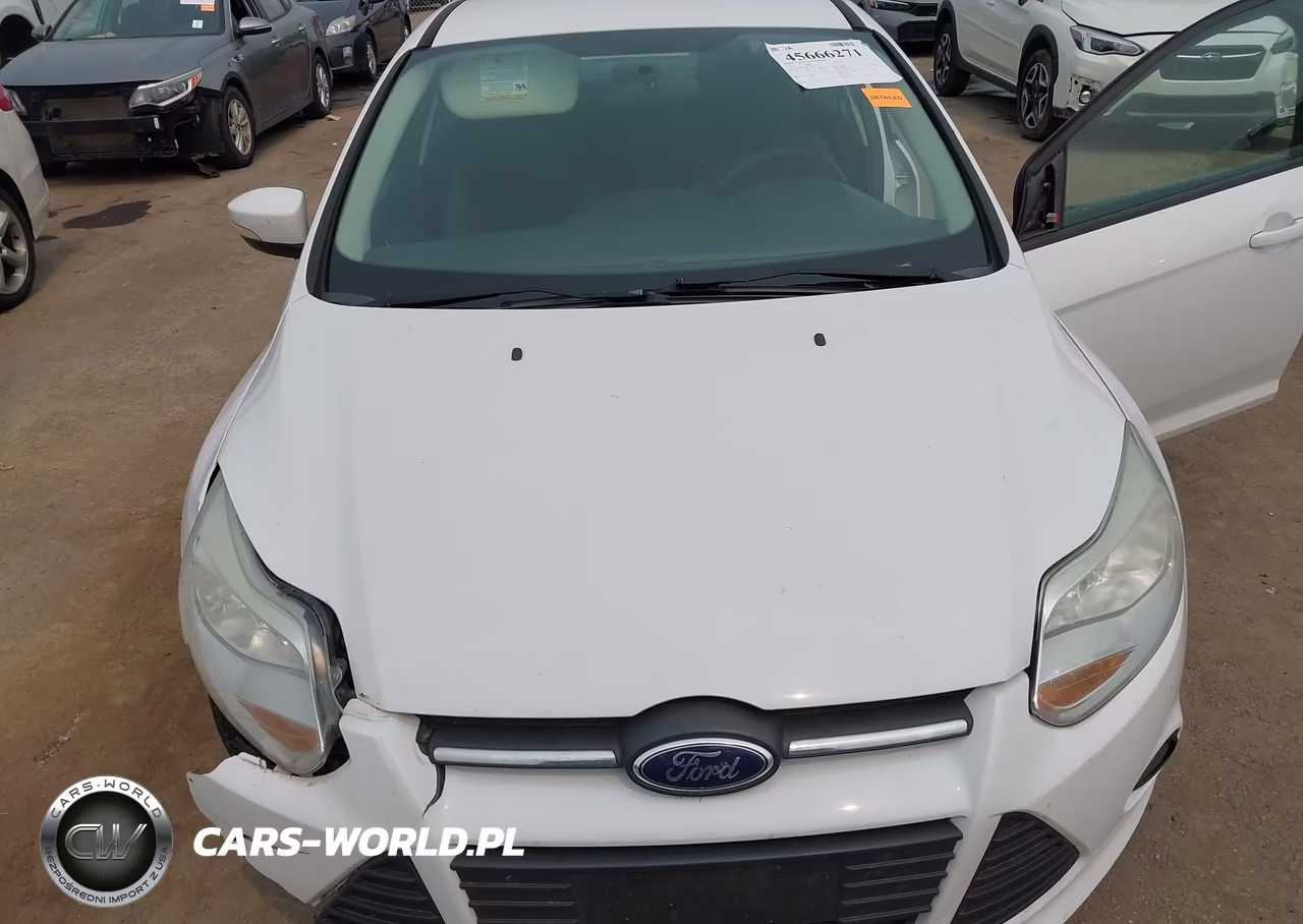 2014 Ford Focus Se VIN:1FADP3F22EL282564 - 10