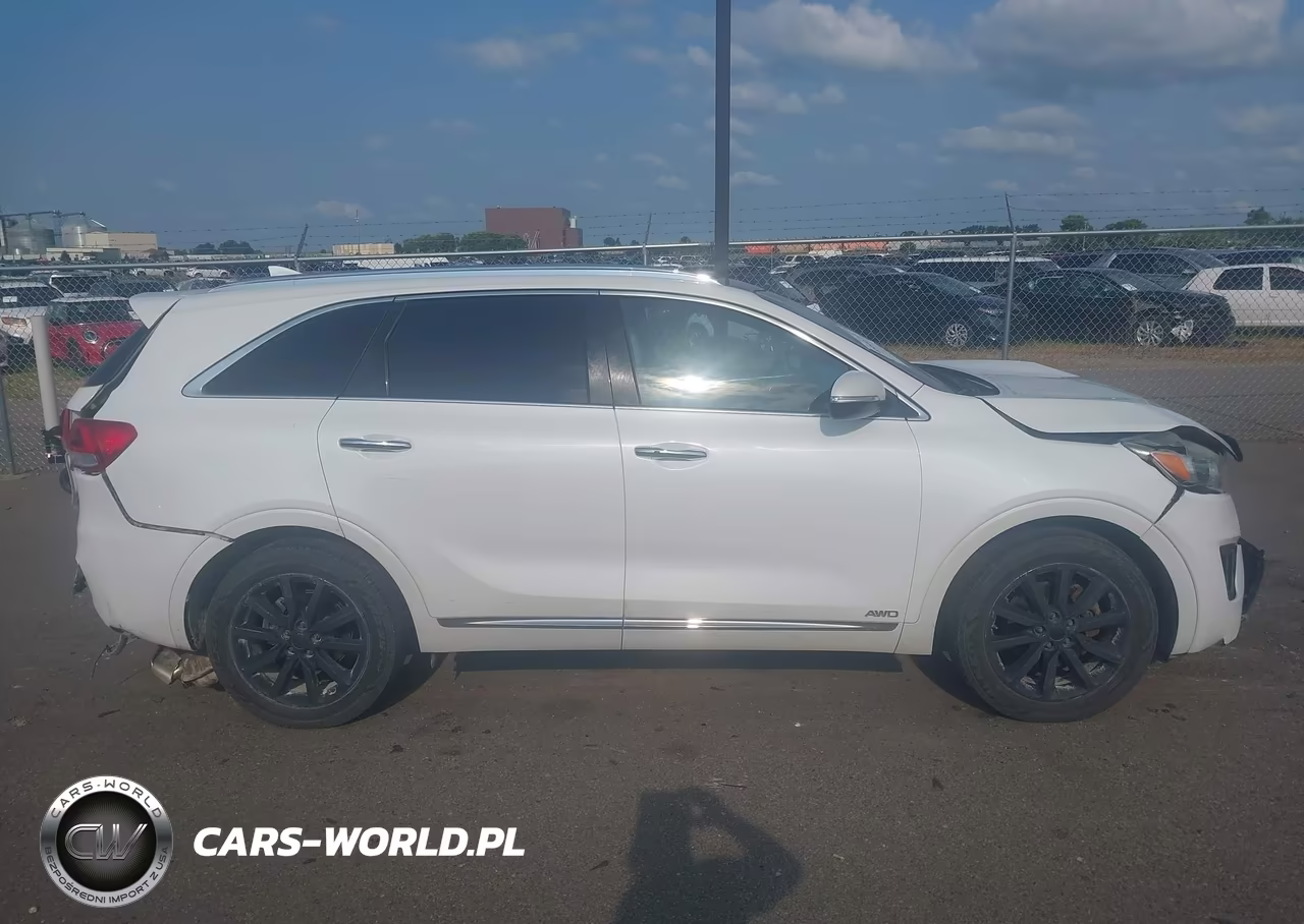 2016 Kia Sorento 3.3L Sxl VIN:5XYPKDA5XGG077716 - 14