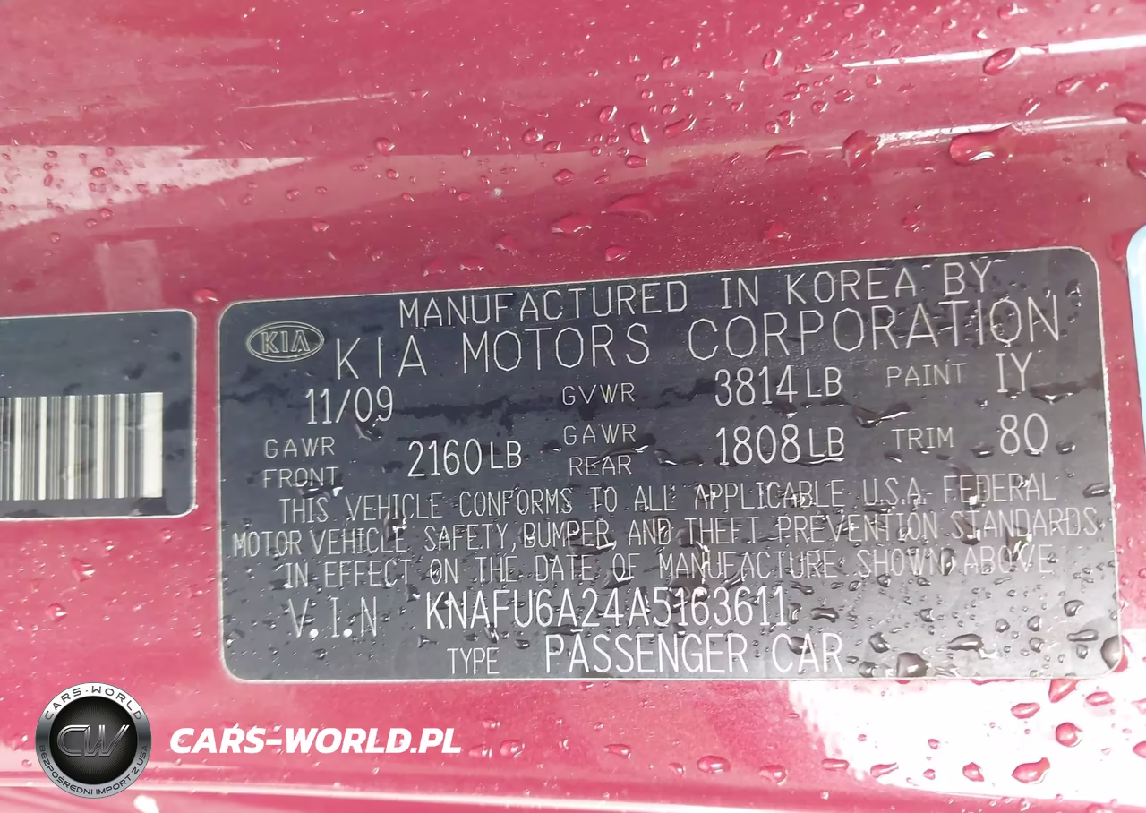 2010 Kia Forte Koup Ex VIN:KNAFU6A24A5163611 - 9