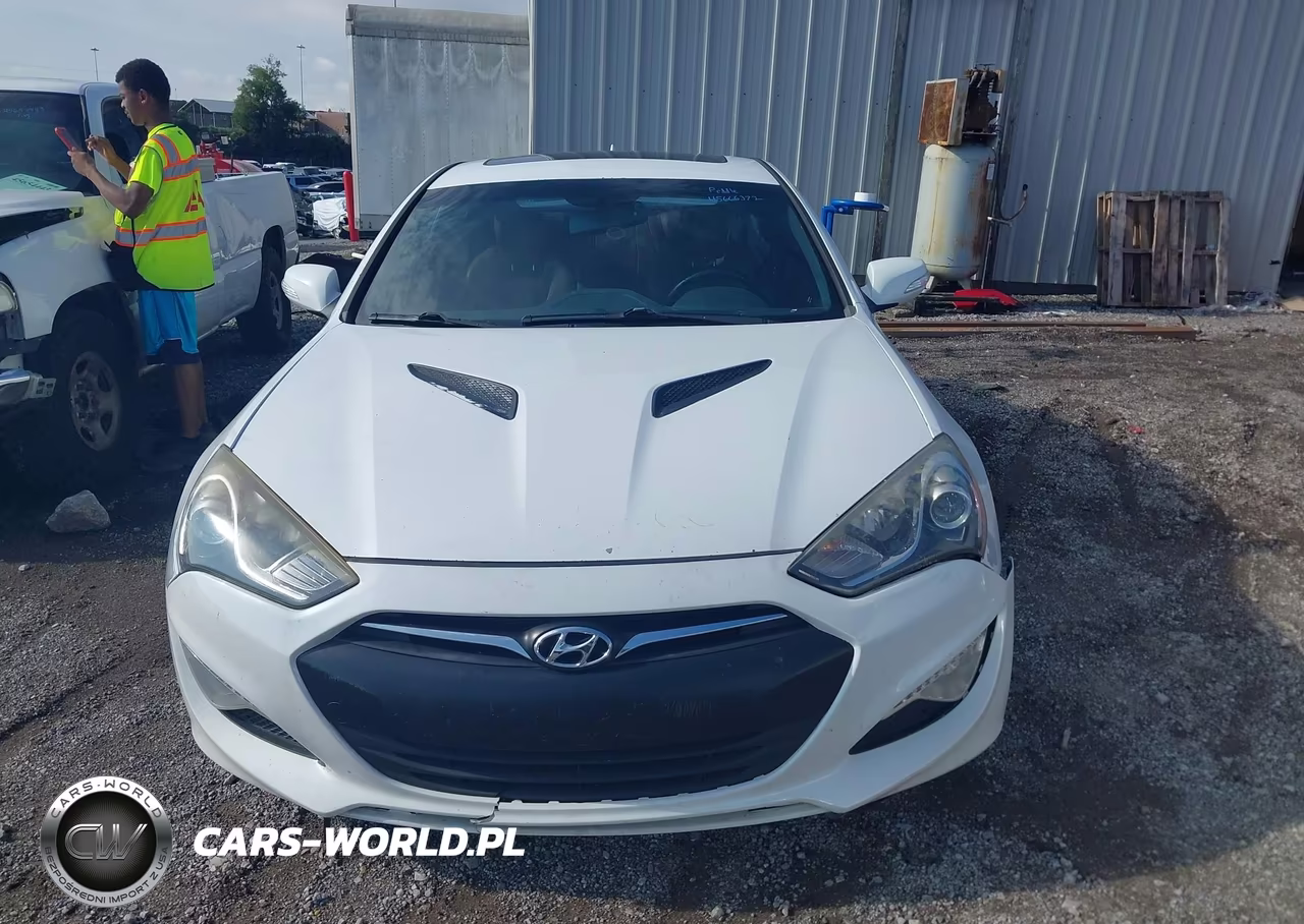 2016 Hyundai Genesis 3.8 Ultimate VIN:KMHHU6KJ4GU131737 - 13