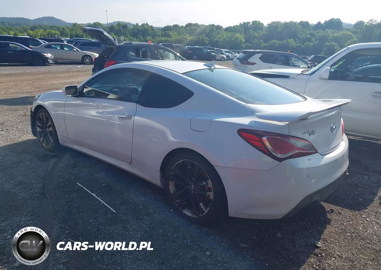 2016 Hyundai Genesis 3.8 Ultimate VIN:KMHHU6KJ4GU131737 - 3
