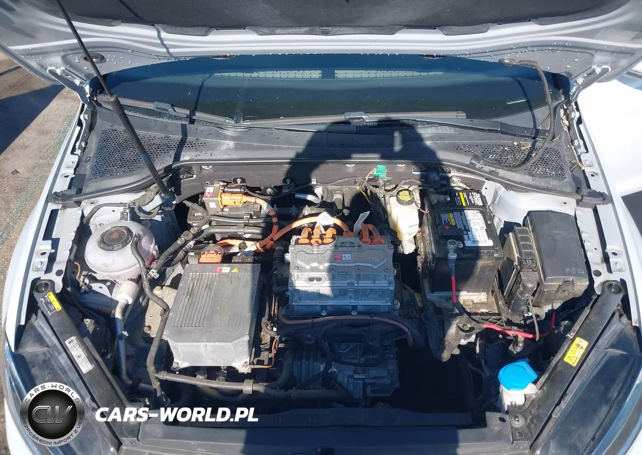 2017 Volkswagen E-Golf Se VIN:WVWKR7AU6HW954589 - 10