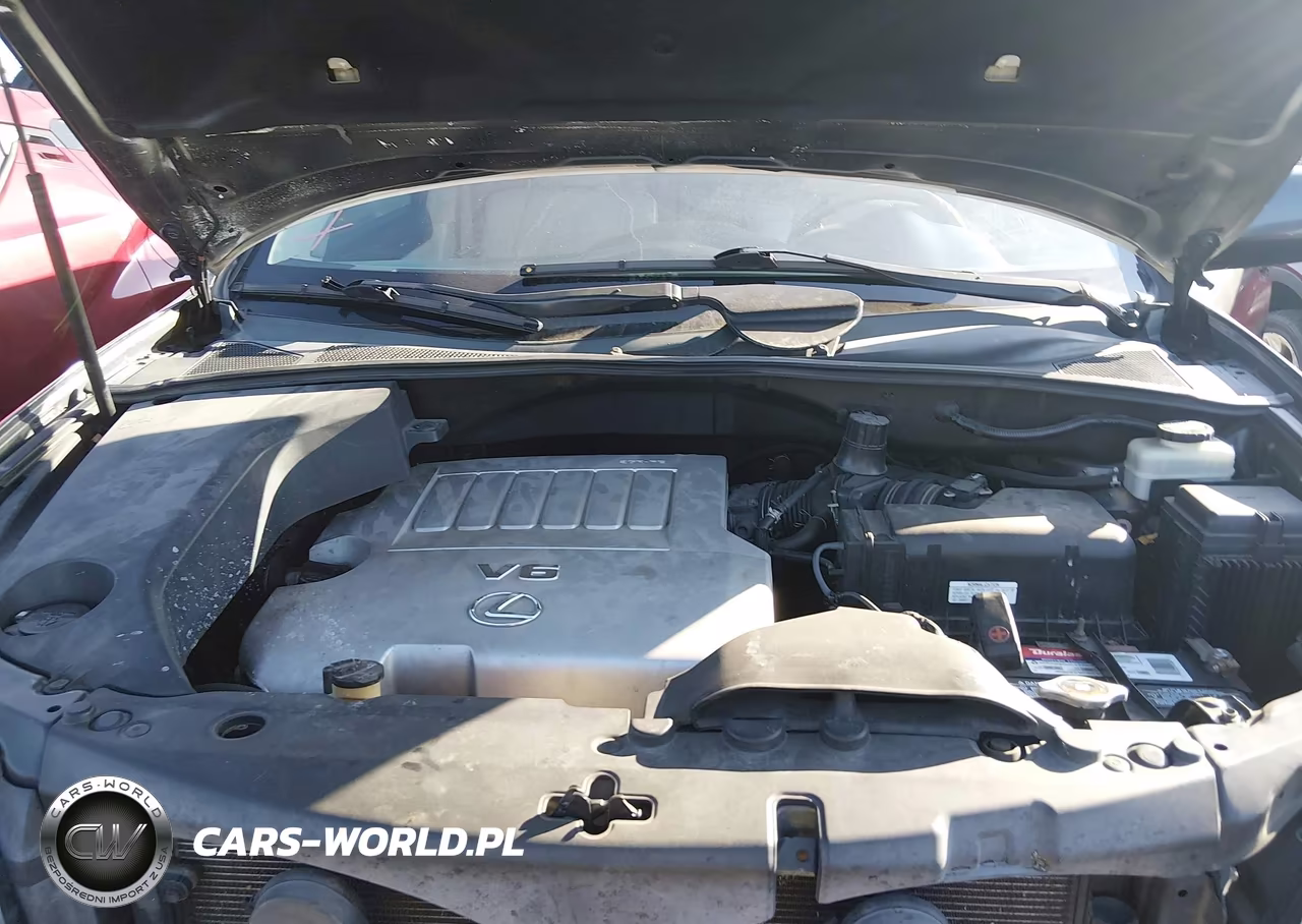 2007 Lexus Rx 350 VIN:2T2GK31U97C014213 - 10