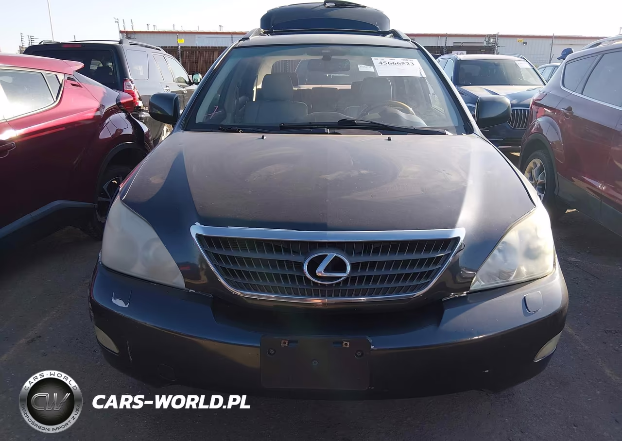 2007 Lexus Rx 350 VIN:2T2GK31U97C014213 - 11