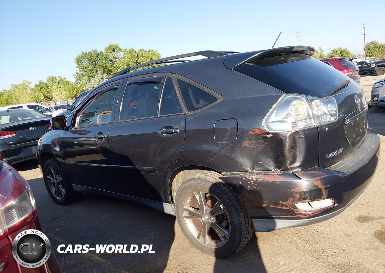 2007 Lexus Rx 350 VIN:2T2GK31U97C014213 - 13