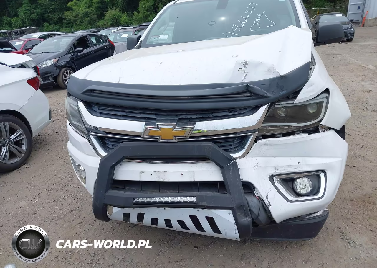 2015 Chevrolet Colorado 4Wd Wt VIN:1GCHTAEA7F1148831 - 12