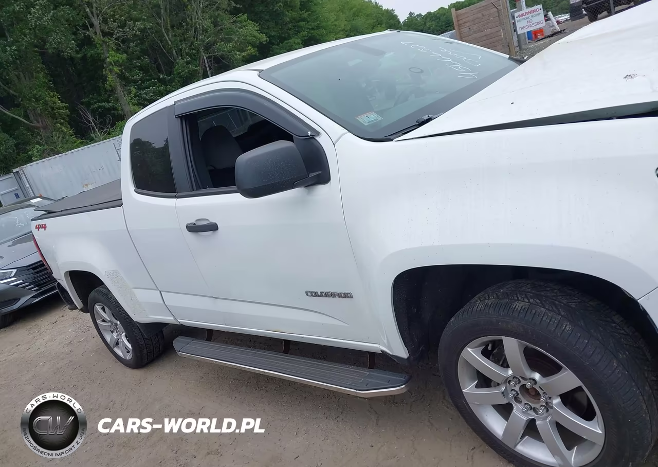 2015 Chevrolet Colorado 4Wd Wt VIN:1GCHTAEA7F1148831 - 13