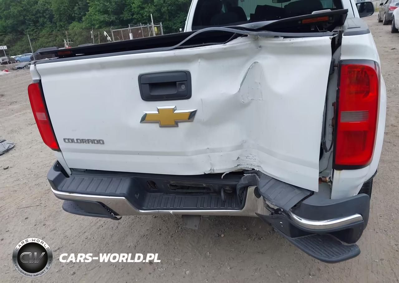 2015 Chevrolet Colorado 4Wd Wt VIN:1GCHTAEA7F1148831 - 16
