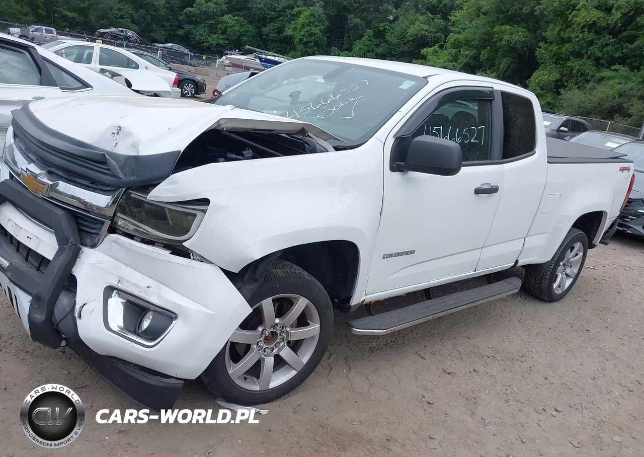 2015 Chevrolet Colorado 4Wd Wt VIN:1GCHTAEA7F1148831 - 2