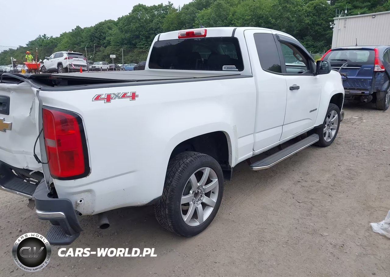 2015 Chevrolet Colorado 4Wd Wt VIN:1GCHTAEA7F1148831 - 4