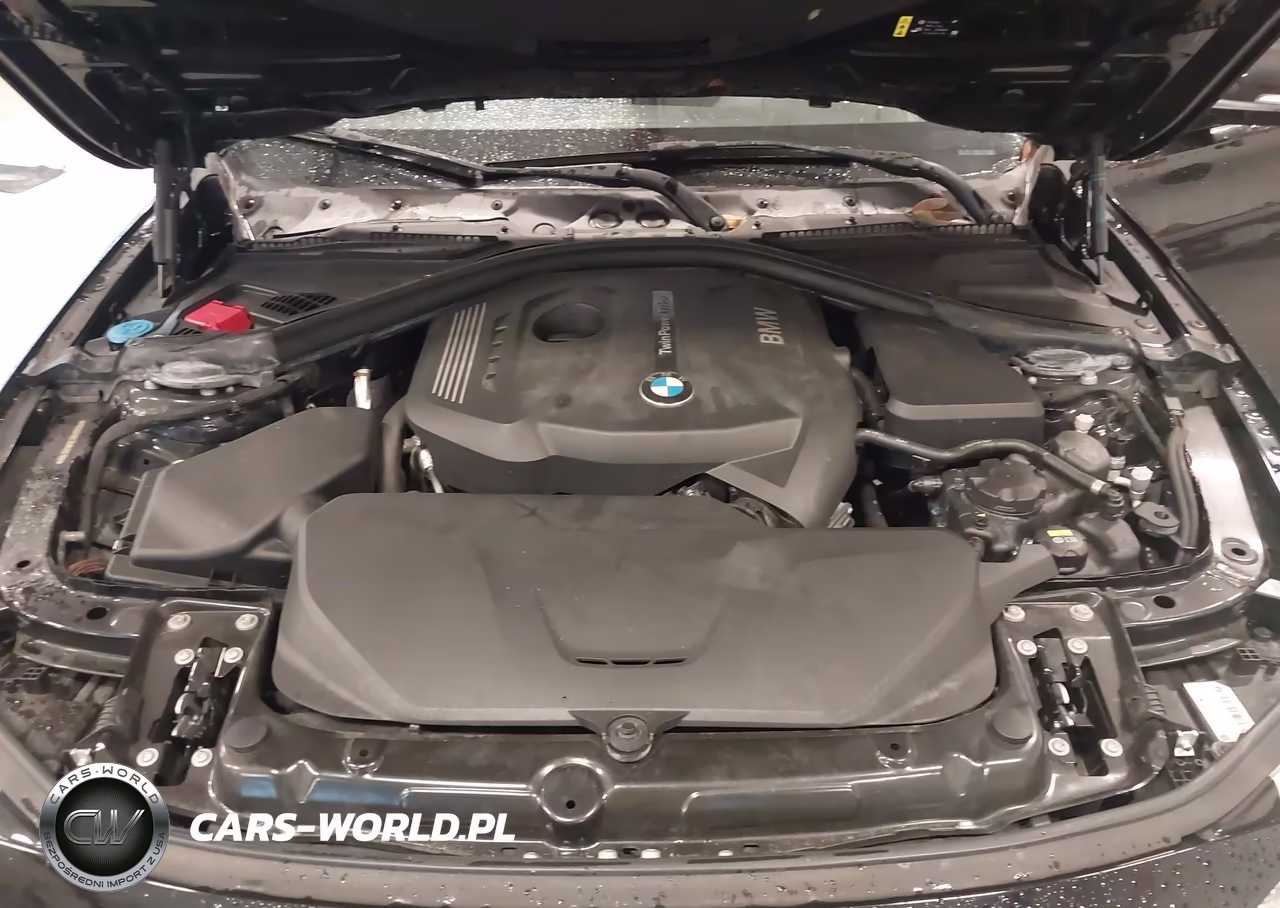 2017 BMW 3 Series 330I VIN:WBA8B9G38HNU55188 - 10