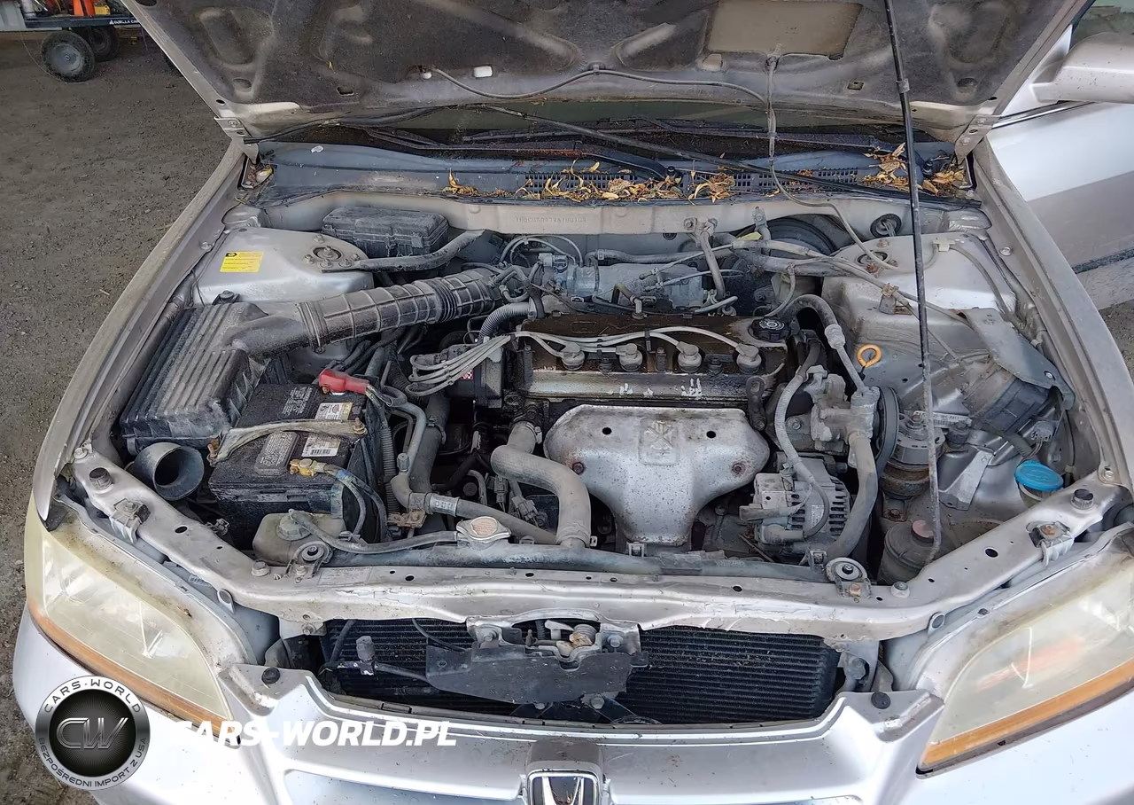 1998 Honda Accord Lx VIN:1HGCG5647WA160154 - 10