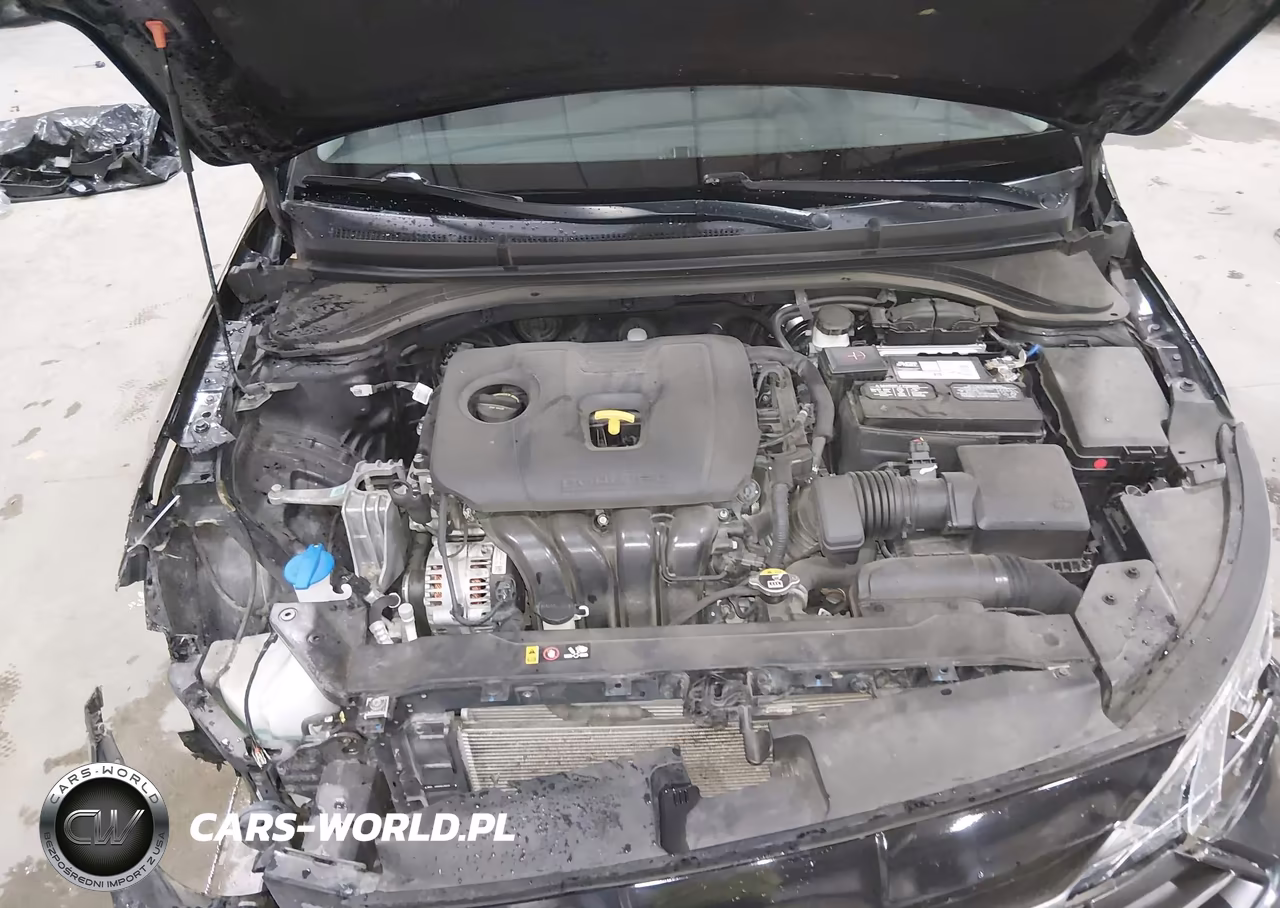 2020 Hyundai Elantra Sel VIN:5NPD84LF5LH594481 - 10