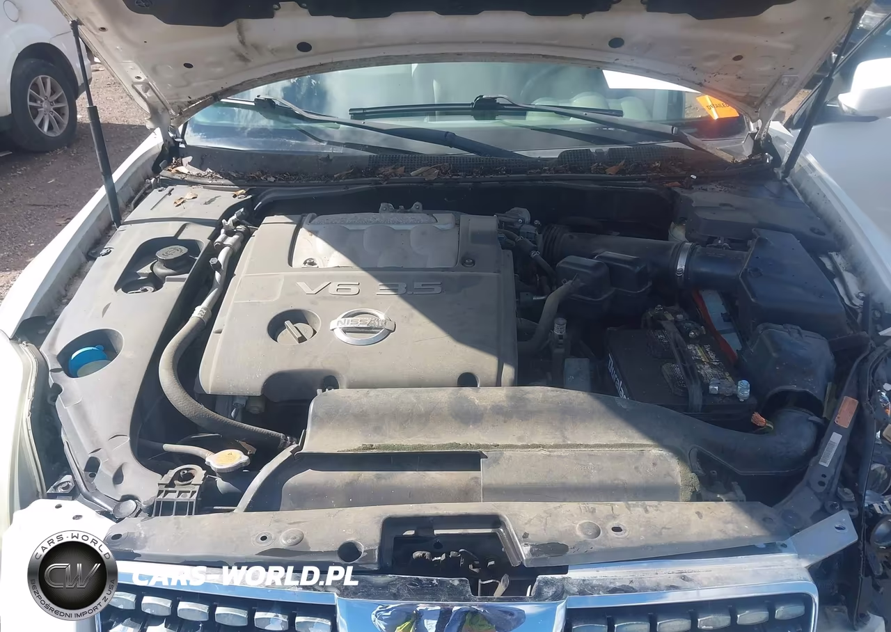 2006 Nissan Maxima 3.5 Se VIN:1N4BA41E06C804805 - 10