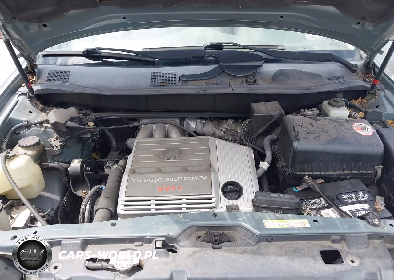 2000 Lexus Rx 300 VIN:JT6HF10UXY0100250 - 10