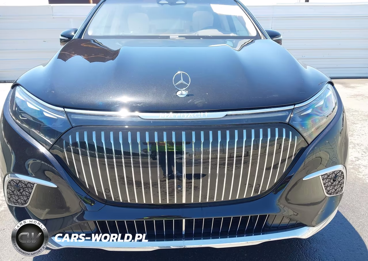2025 Mercedes-Benz Maybach Eqs 680 Suv 4Matic VIN:4JGDX5FB5SA039436 - 10
