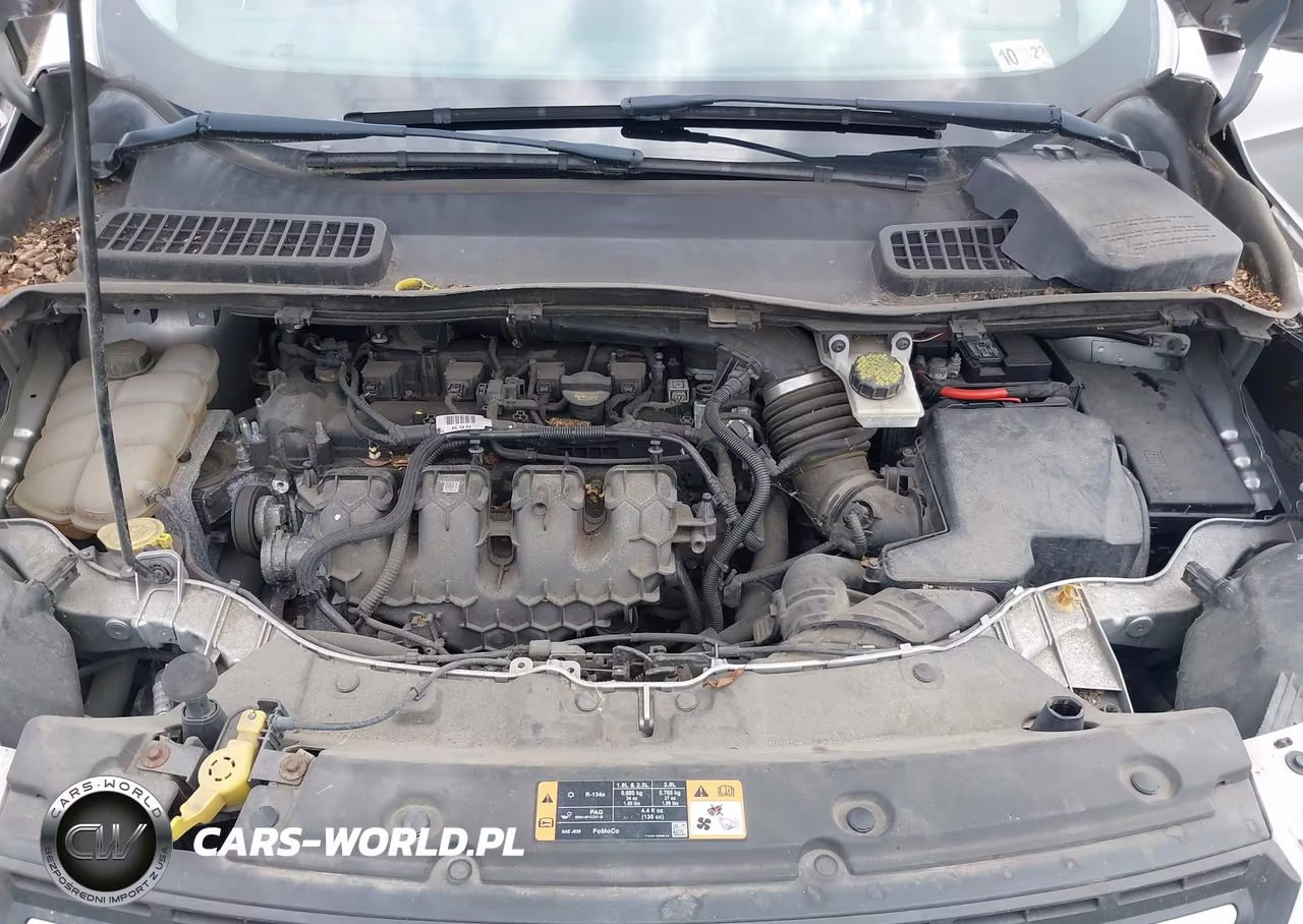 2015 Ford Escape Se VIN:1FMCU9G97FUB46211 - 10