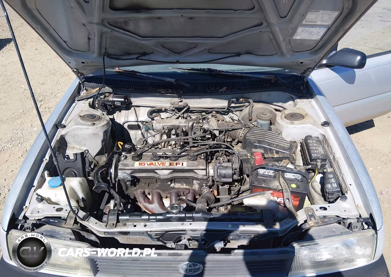 1991 Toyota Corolla VIN:1NXAE91A4MZ265497 - 10