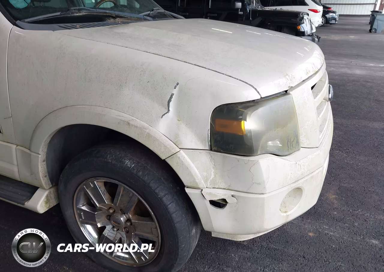 2008 Ford Expedition Limited VIN:1FMFU19538LA51761 - 6