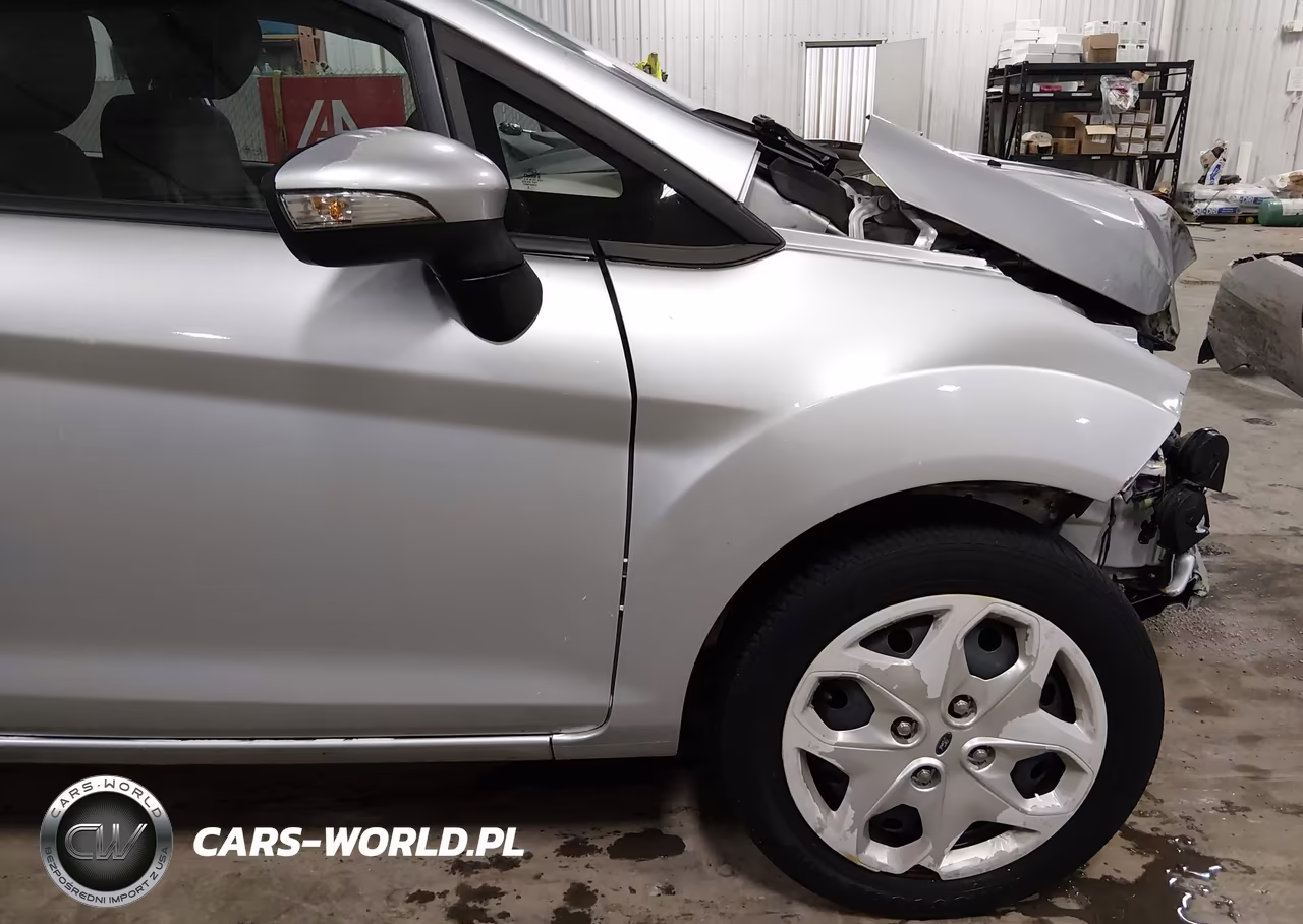 2013 Ford Fiesta Se VIN:3FADP4BJ1DM205863 - 20