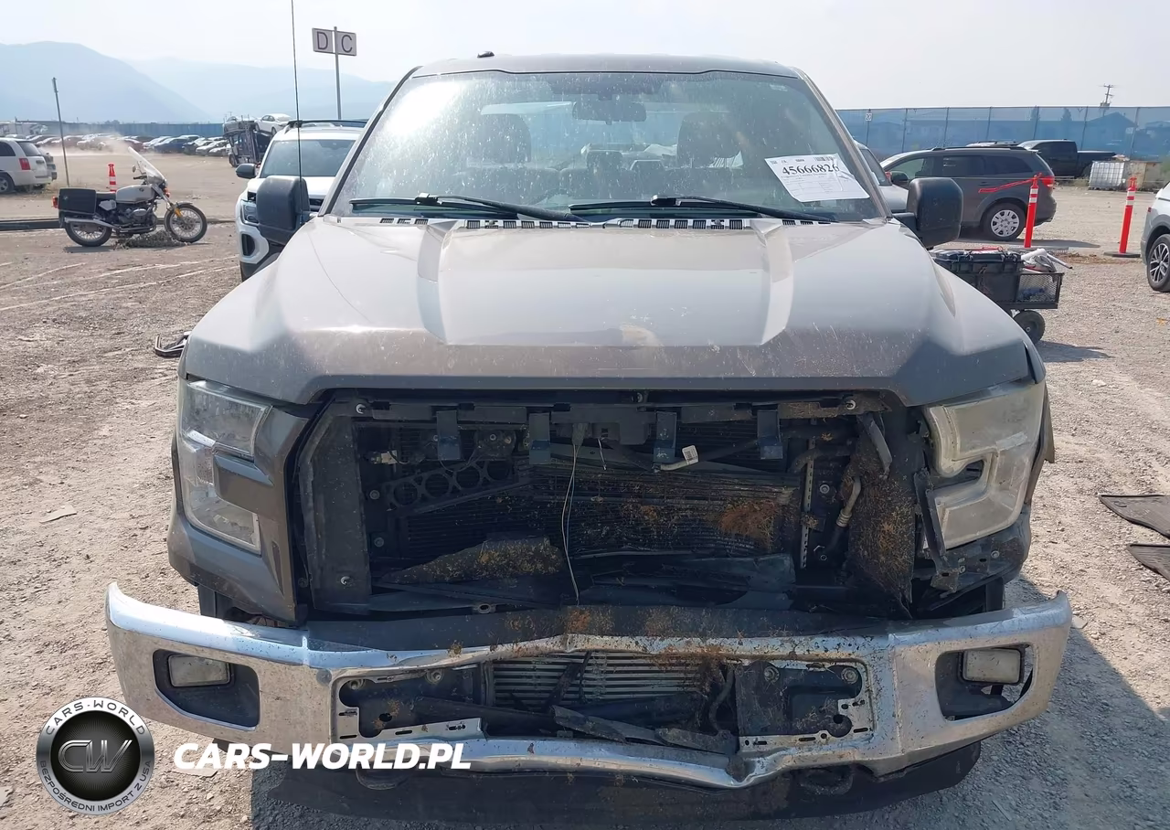 2015 Ford F-150 Xl VIN:1FTEX1EP2FFC78952 - 13