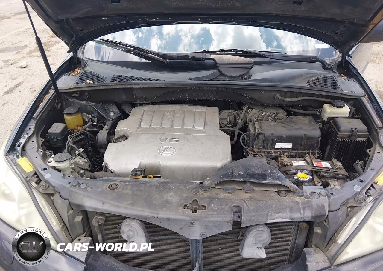 2007 Lexus Rx 350 VIN:2T2HK31U57C026220 - 10