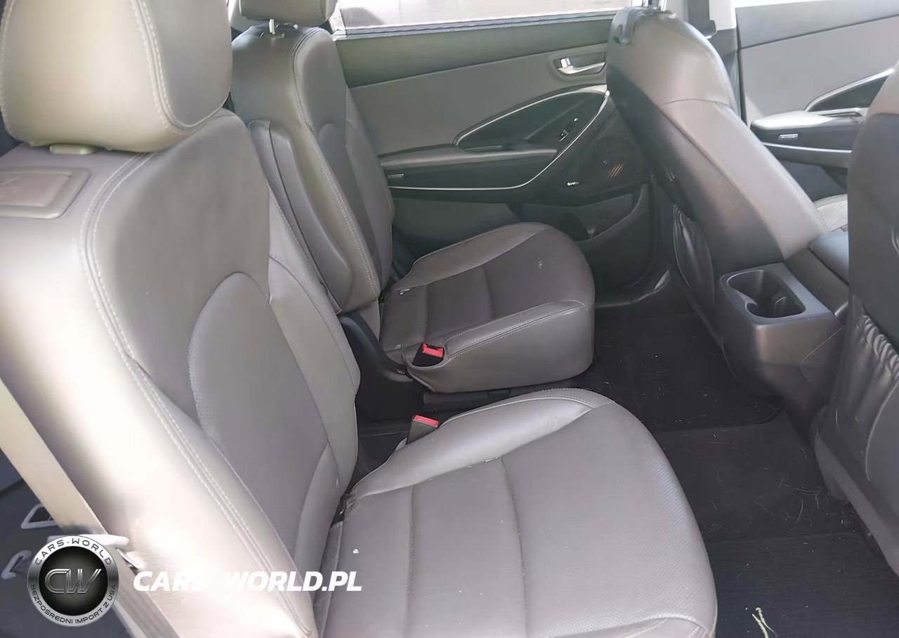 2017 Hyundai Santa Fe Limited Ultimate VIN:KM8SR4HF4HU185944 - 17