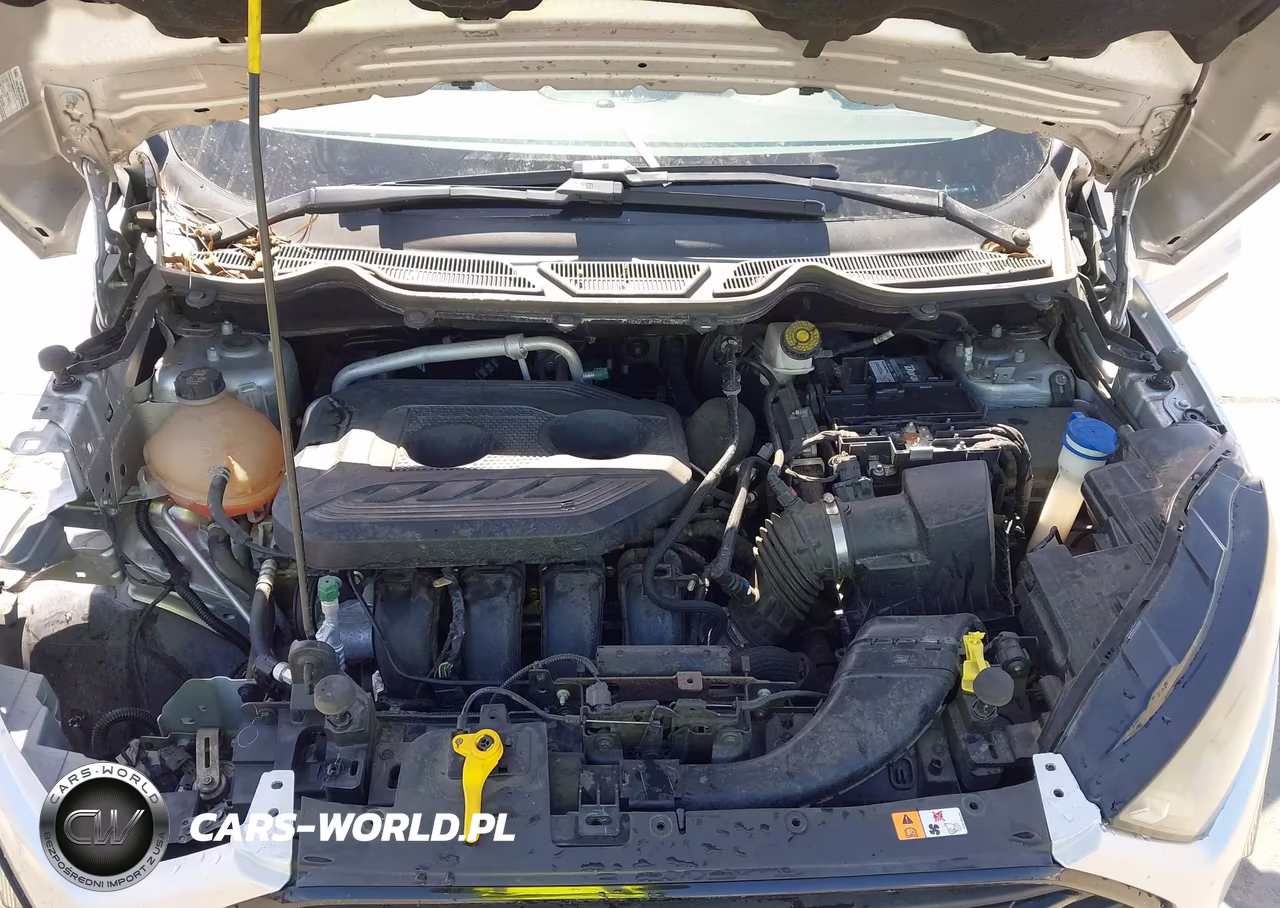 2021 Ford Ecosport Ses VIN:MAJ6S3JLXMC412757 - 10