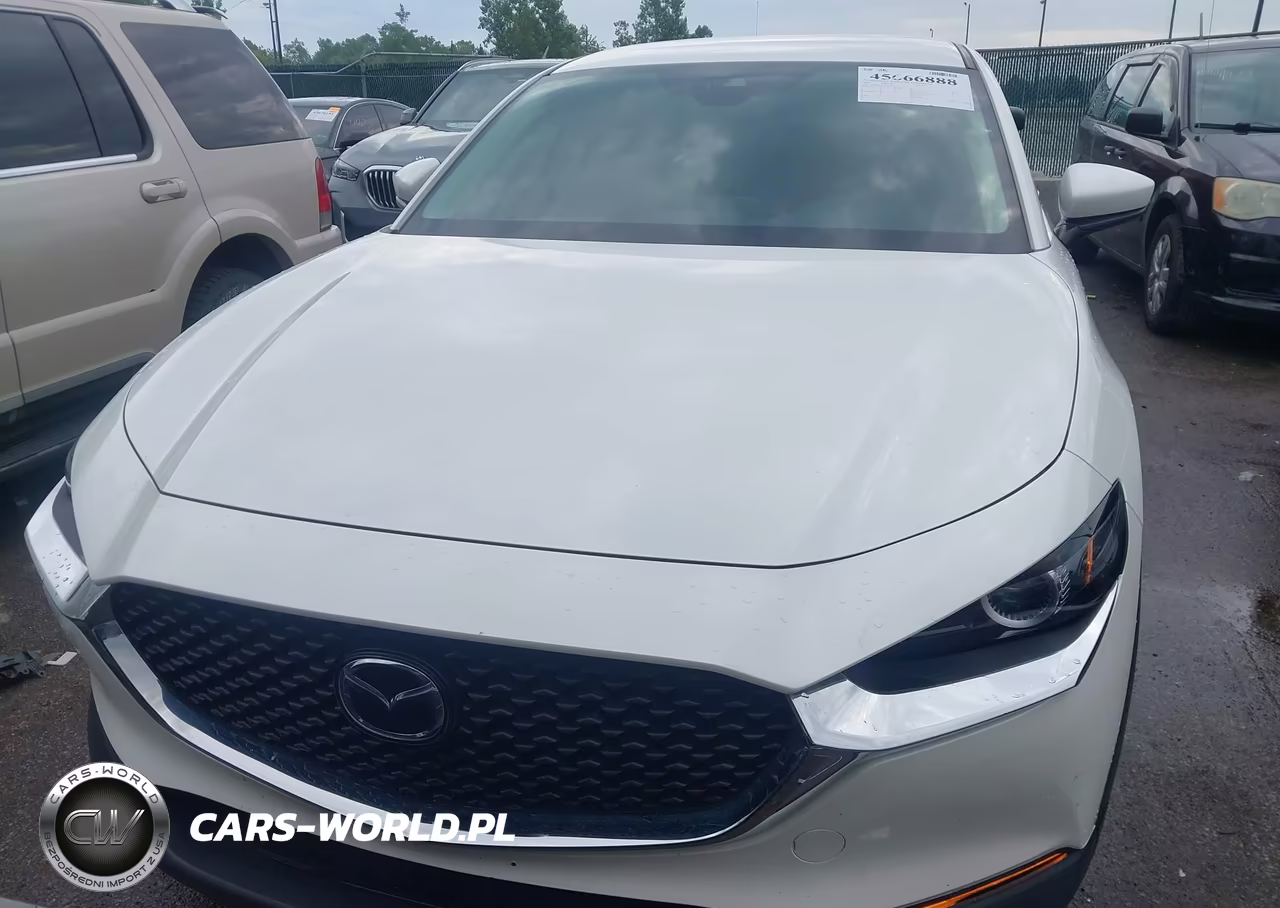 2020 Mazda Cx-30 VIN:3MVDMABL0LM132369 - 13