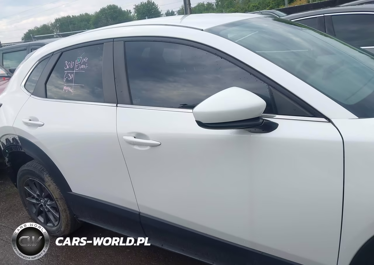 2020 Mazda Cx-30 VIN:3MVDMABL0LM132369 - 14