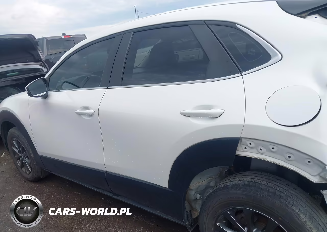 2020 Mazda Cx-30 VIN:3MVDMABL0LM132369 - 15
