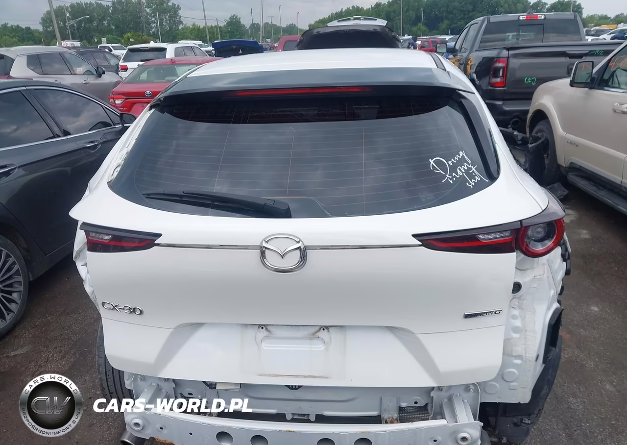 2020 Mazda Cx-30 VIN:3MVDMABL0LM132369 - 17