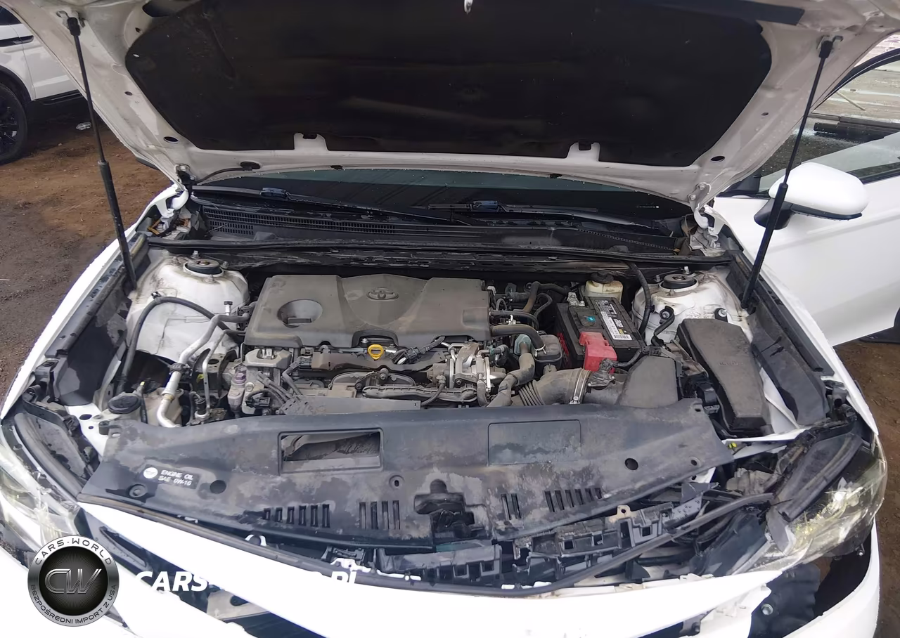 2018 Toyota Camry Le VIN:4T1B11HK3JU528753 - 10