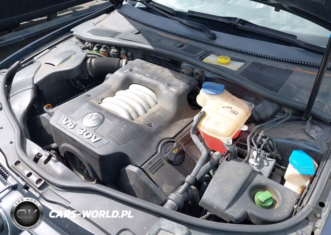 2005 Volkswagen Passat Glx VIN:WVWYU63B05E041424 - 10