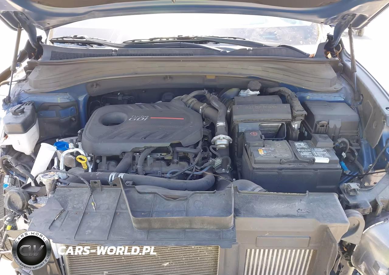 2020 Hyundai Santa Fe Limited 2.0T VIN:5NMS53AA7LH305762 - 10