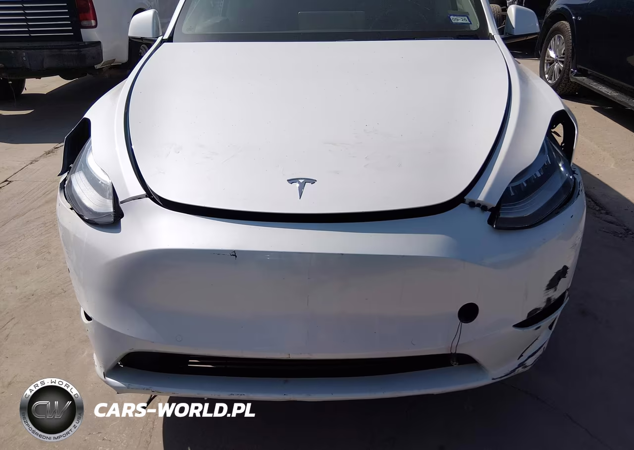 2020 Tesla Model Y Long Range Dual Motor All-Wheel Drive VIN:5YJYGDEE1LF009628 - 11