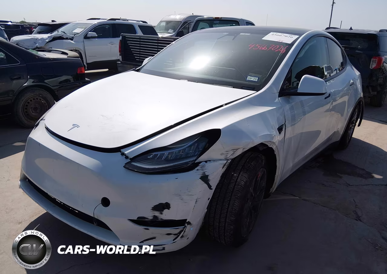 2020 Tesla Model Y Long Range Dual Motor All-Wheel Drive VIN:5YJYGDEE1LF009628 - 2