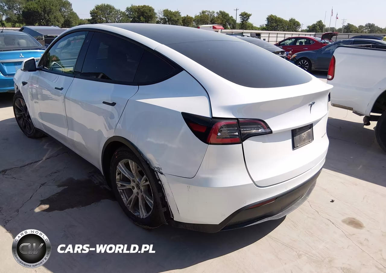 2020 Tesla Model Y Long Range Dual Motor All-Wheel Drive VIN:5YJYGDEE1LF009628 - 3