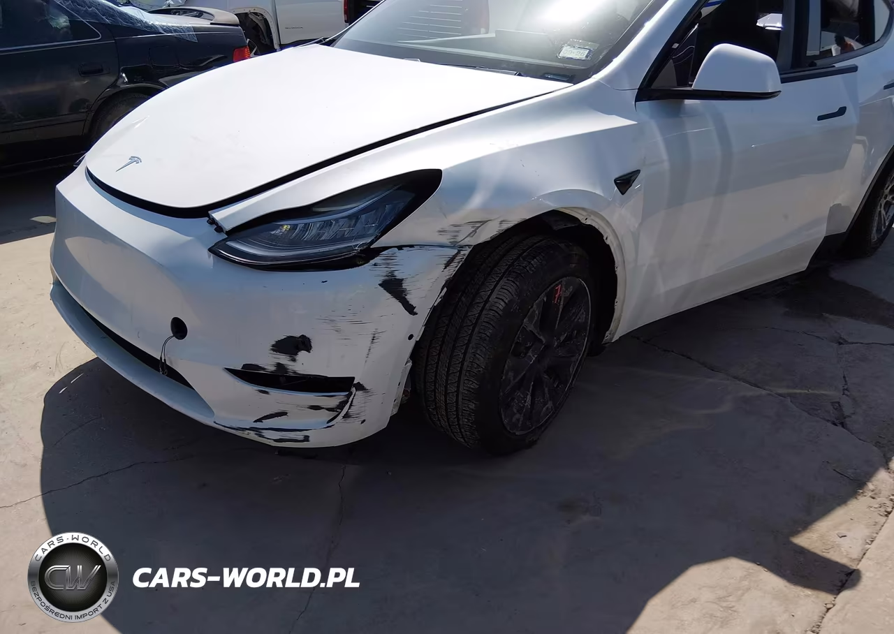 2020 Tesla Model Y Long Range Dual Motor All-Wheel Drive VIN:5YJYGDEE1LF009628 - 6