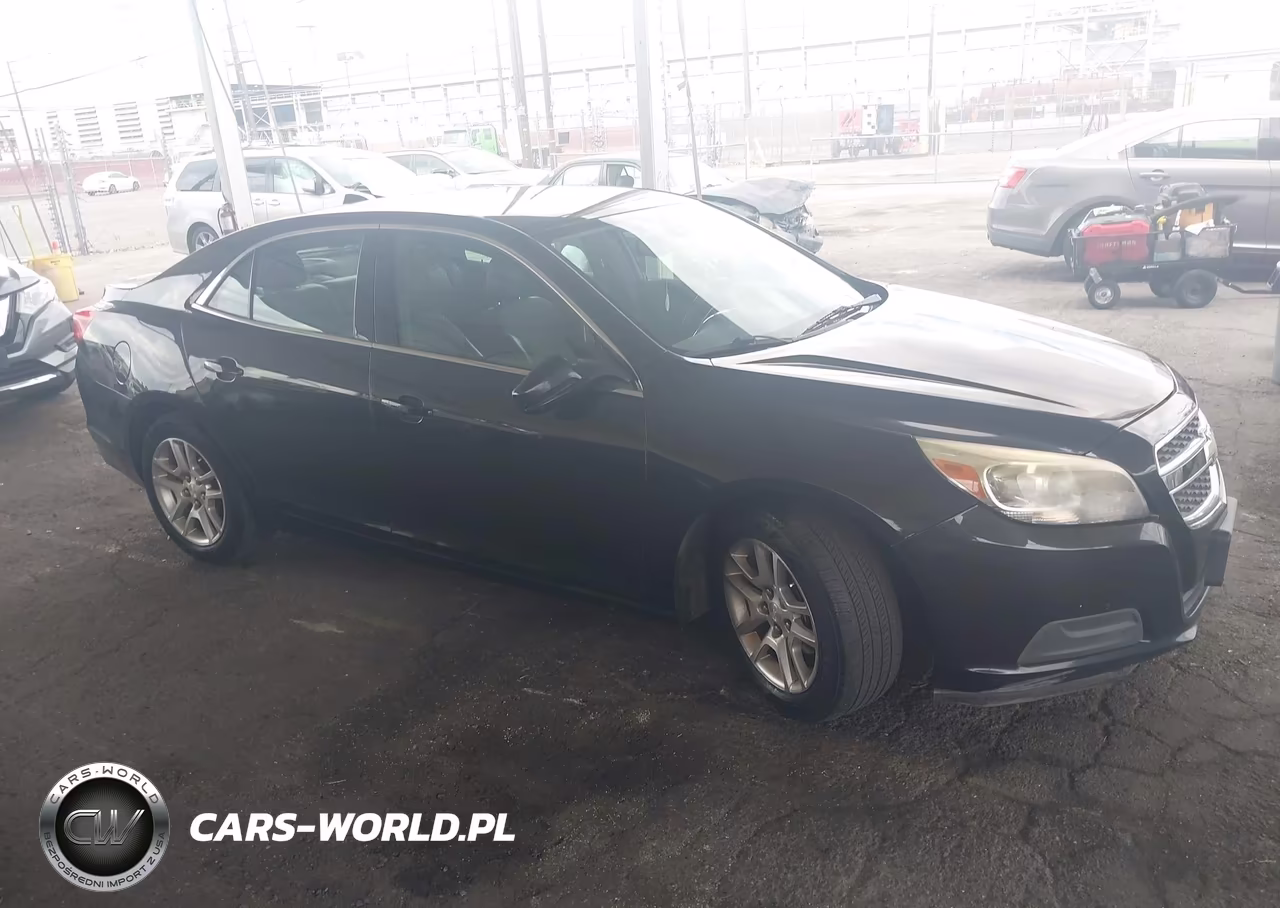 2013 Chevrolet Malibu Eco VIN:1G11D5RR6DF108030 - 13