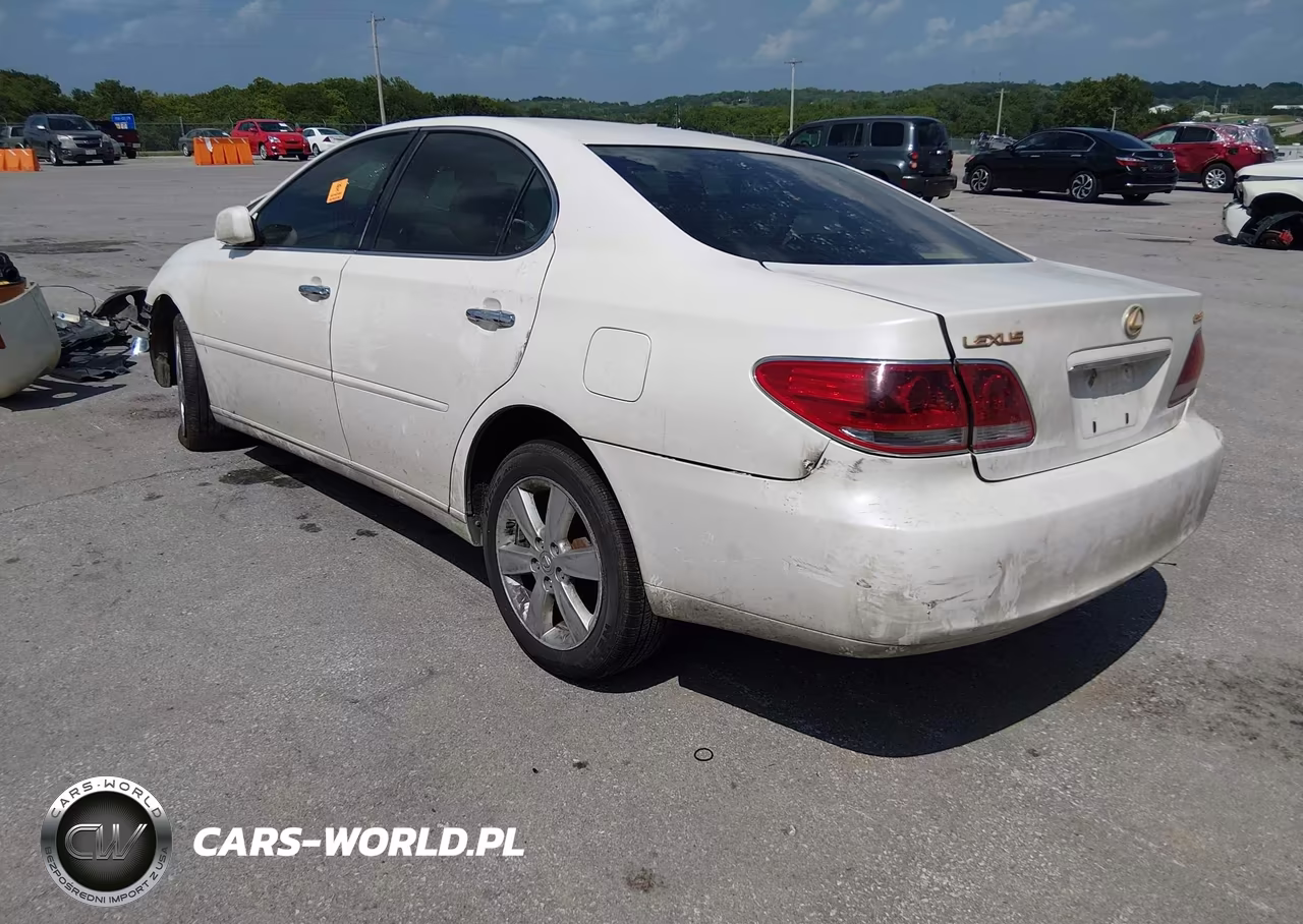 2006 Lexus Es 330 VIN:JTHBA30G765155353 - 3